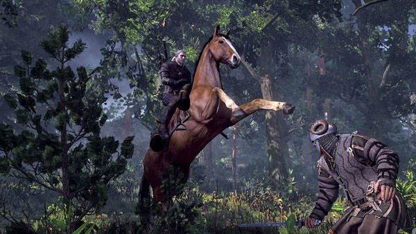 the witcher 3 wild hunt (14)