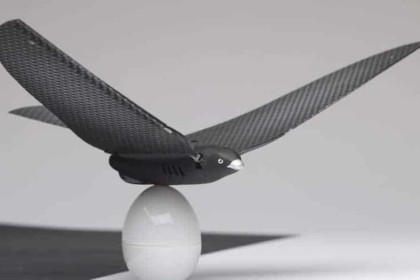 BionicBird