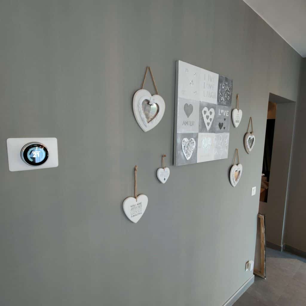 Je trouve que le Google Nest est vraiment magnifique et s'intègre bien à la maison