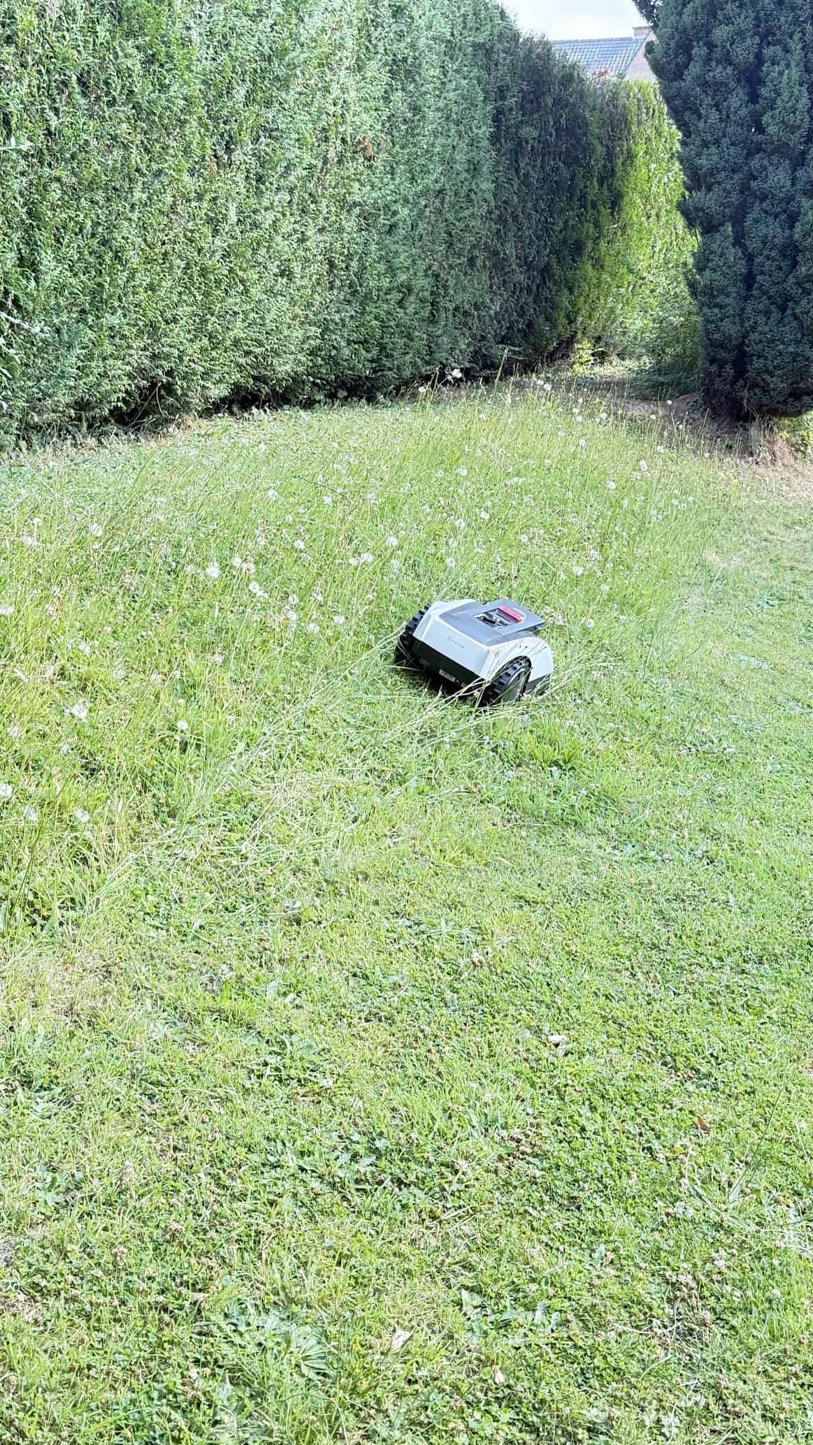Je l'ai emmené dans les hautes herbes inclinées : ça ne fonctionne pas top mais c'est normal à priori
