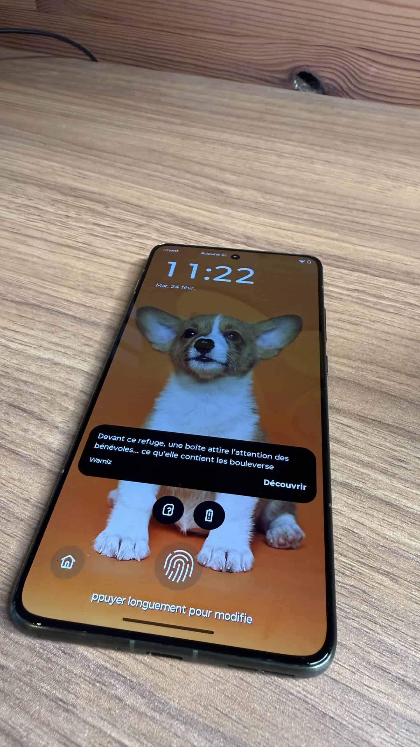 Ecran pOLED Motorola Edge 70